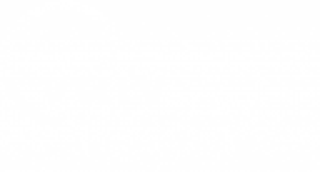VDIV
Verband der Immobilienverwalter
Schleswig-Holstein, Hamburg, Mecklenburg-Vorpommern